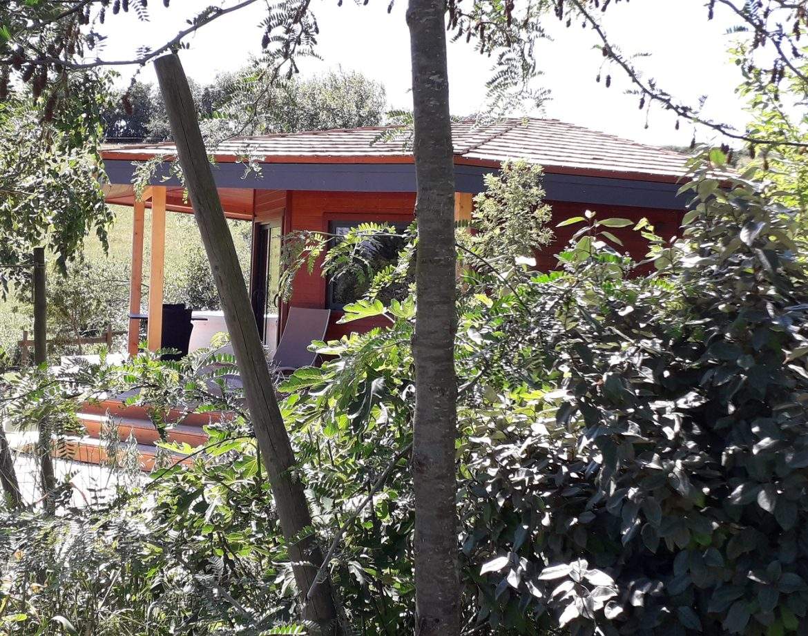 Cabane en bois nichée dans la verdure du Languedoc-Roussillon, ambiance nature.