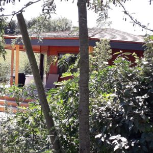 Cabane en bois nichée dans la verdure du Languedoc-Roussillon, ambiance nature.