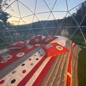 Dôme transparent en Corse avec lit douillet et coussins colorés, vue sur la nature.