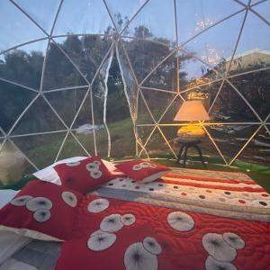 Dôme transparent en Corse, avec lit décoré de coussins colorés et lampe chaleureuse.