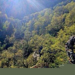 Cabane perchée en bois avec vue panoramique sur la vallée verdoyante.