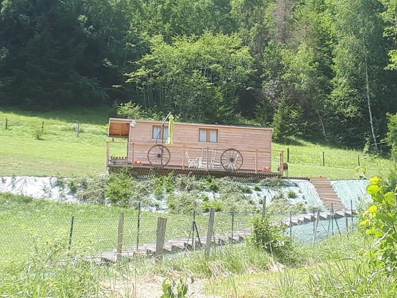 Charmante cabane en bois sur pilotis, entourée de verdure et dun chemin en bois.