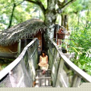 Cabane perchée dans les arbres, accès par un pont suspendu, entourée de verdure.