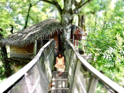Cabane perchée dans les arbres, accès par un pont suspendu, entourée de verdure.