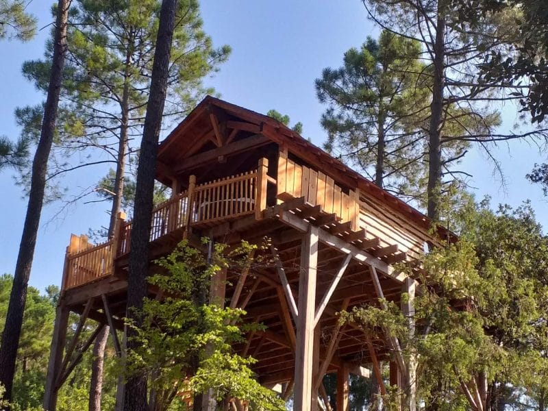 Cabane perchée en bois, entourée de grands arbres, offrant une vue dégagée.