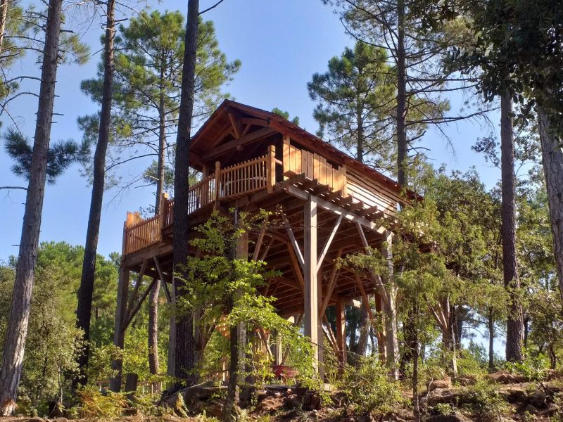 Cabane perchée en bois au milieu des arbres, offrant une vue imprenable sur la nature.