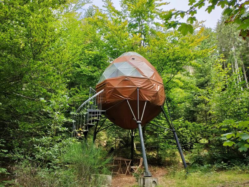 Hébergement insolite en forme dœuf, perché dans les arbres, entouré de verdure.