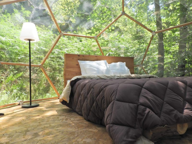 Dôme géodésique à Grand-Est, lit douillet avec vue sur la forêt verdoyante.