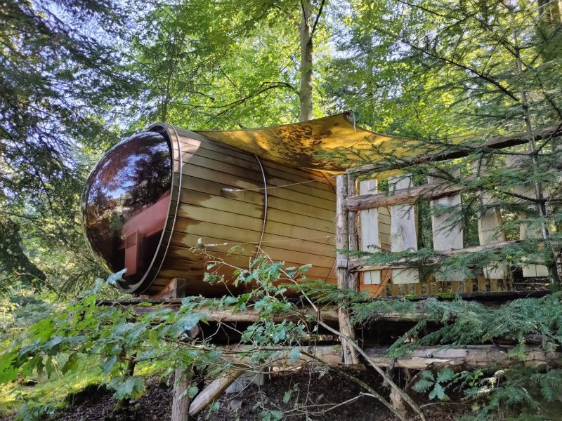 Cabane en bois en forme de tonneau, perchée dans les arbres, entourée de verdure.