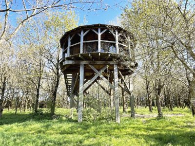 Cabane perchée en bois, entourée darbres, offrant une vue panoramique sur la nature.