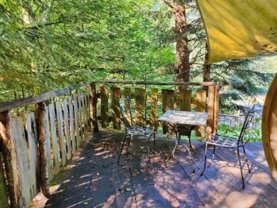 Cabane perchée en bois avec terrasse, entourée darbres verdoyants.