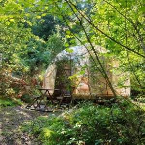 Dôme en bois niché dans la forêt, entouré de verdure, avec une terrasse en bois.