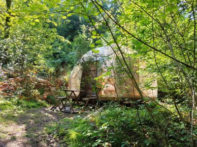 Dôme en bois niché dans la forêt, entouré de verdure, avec une terrasse en bois.