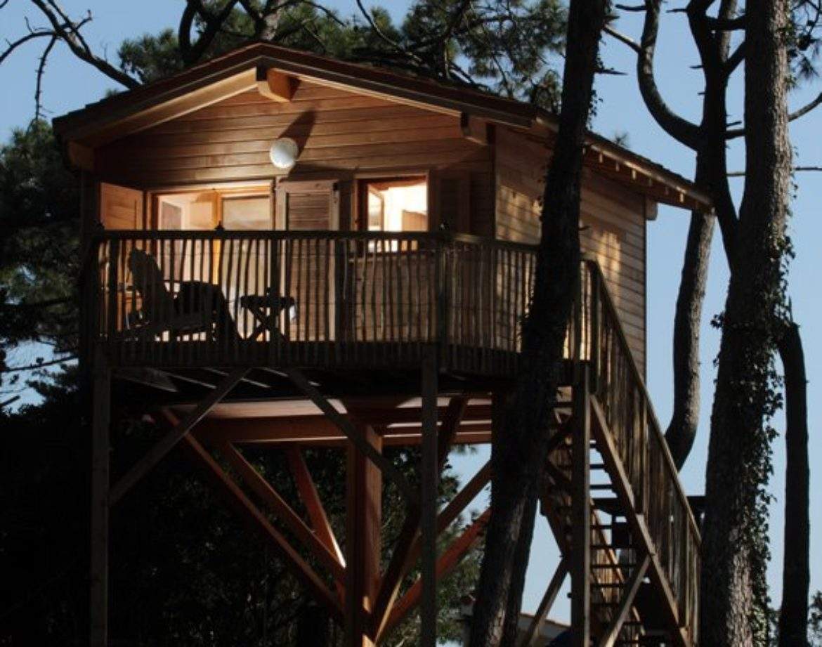 Cabane perchée en bois dans les arbres, entourée de pins en Aquitaine.