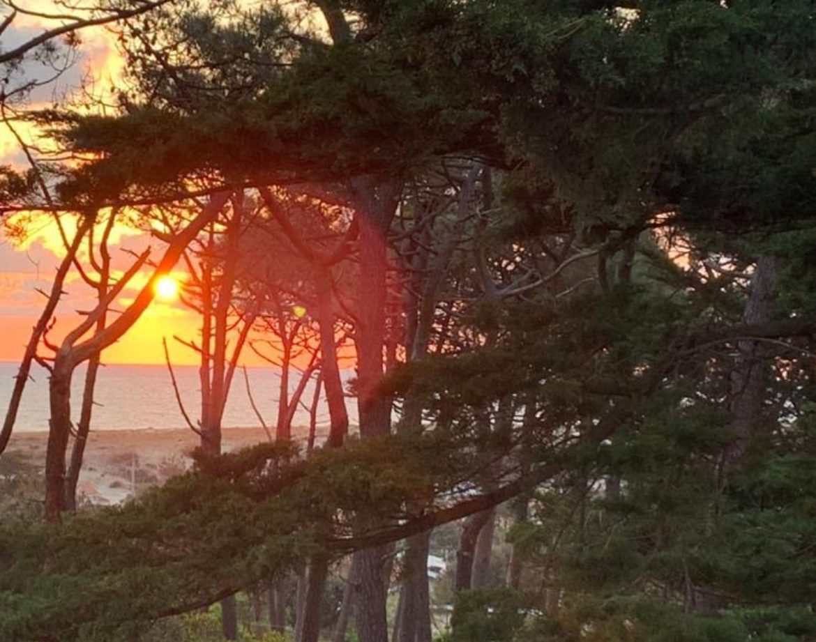 Hébergement insolite en Aquitaine, avec vue sur le coucher de soleil entre les arbres.