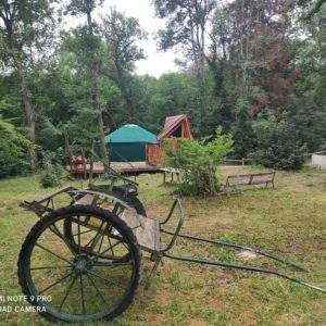 Hébergement insolite en Bourgogne : yourte au milieu de la nature, entourée darbres.