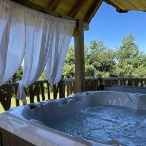 Hébergement insolite en Aquitaine avec jacuzzi, vue sur la nature verdoyante.
