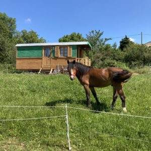 Hébergement insolite en roulotte, avec un cheval paissant dans un champ verdoyant.