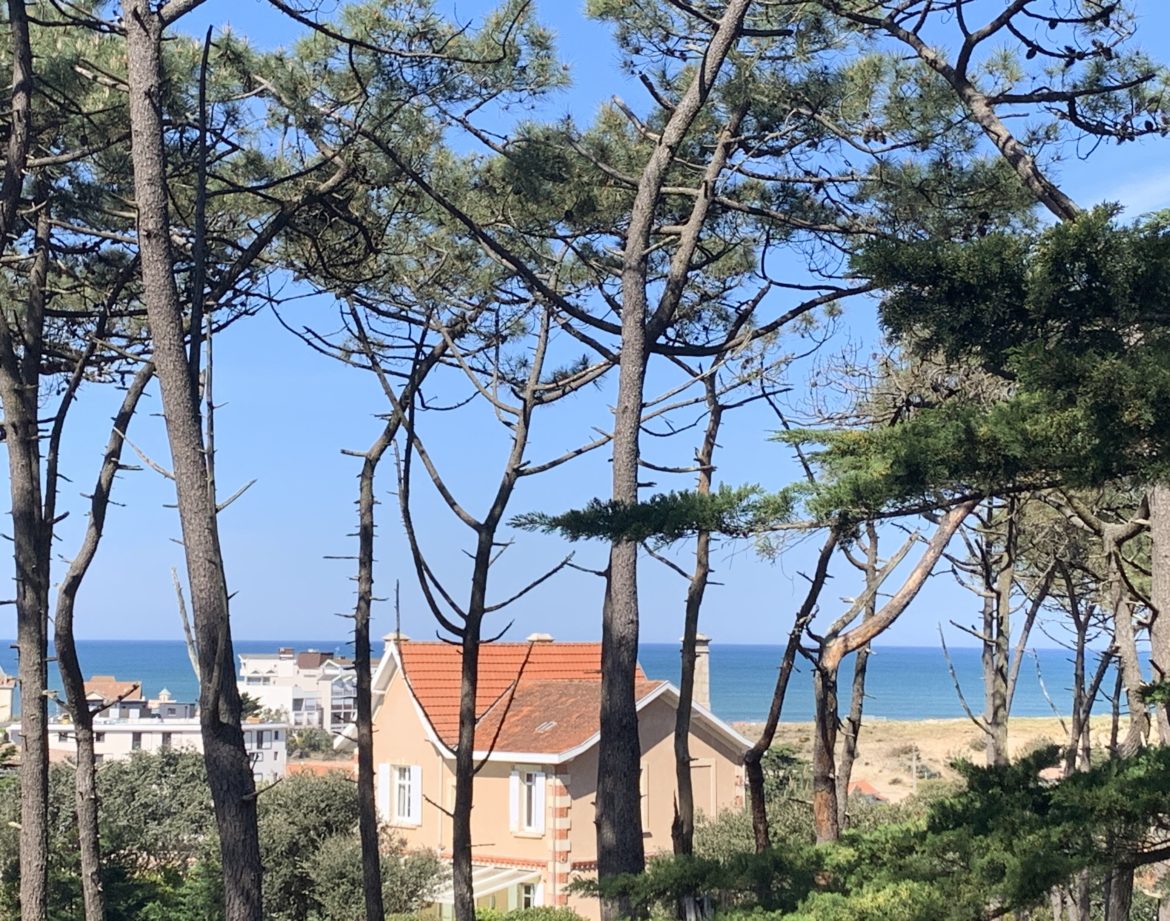 Hébergement insolite en Aquitaine, cabane perchée entourée de pins, vue sur locéan.