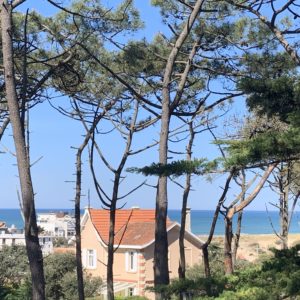 Hébergement insolite en Aquitaine, cabane perchée entourée de pins, vue sur locéan.