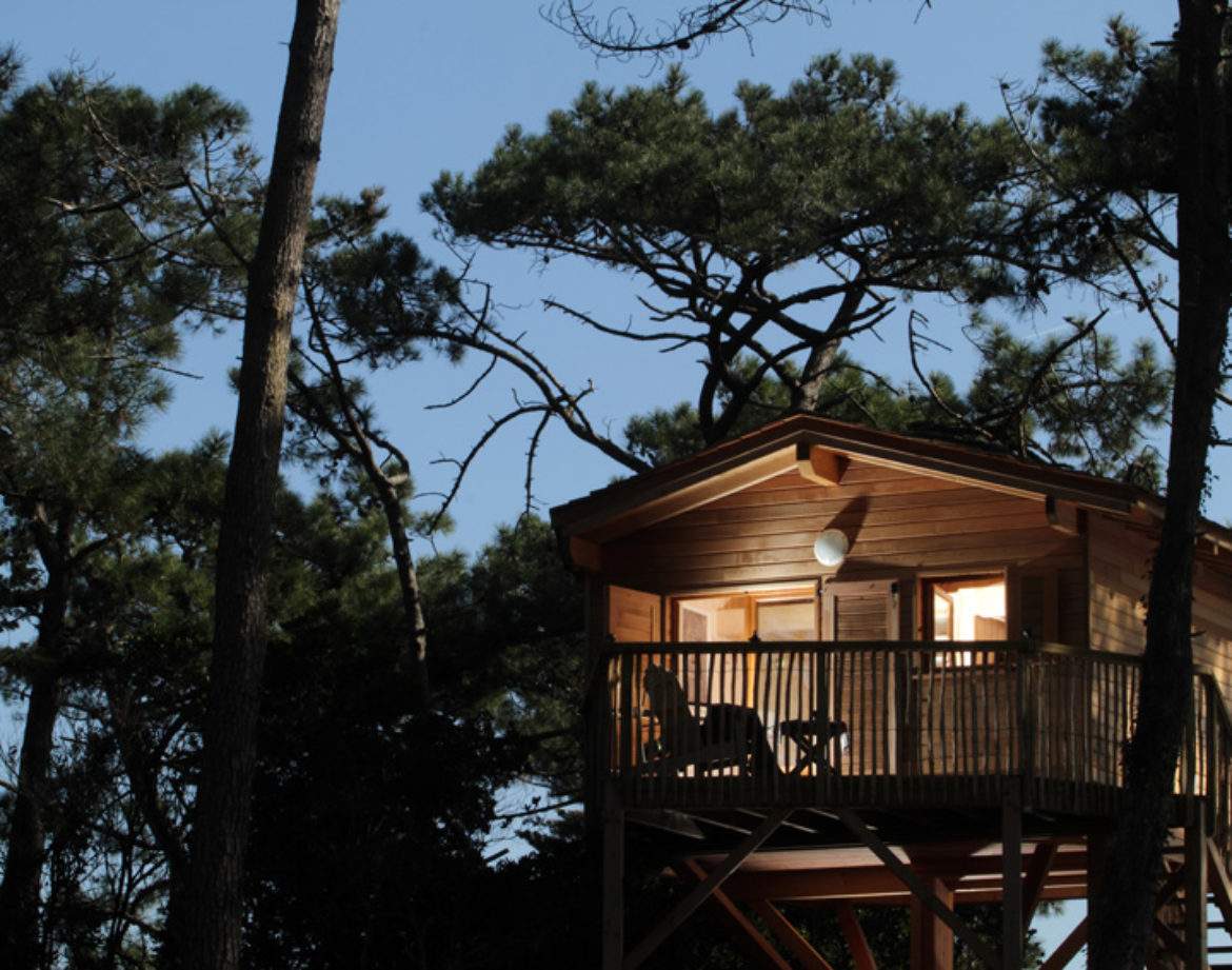 Cabane perchée en bois dans les arbres, éclairée par une douce lumière.