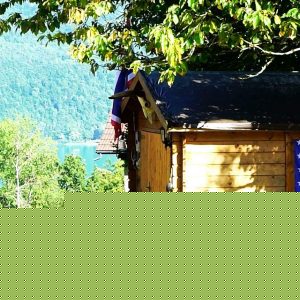 Cabane en bois avec drapeau américain, vue sur la nature en Auvergne-Rhône-Alpes.