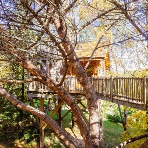 Cabane perchée dans les arbres, entourée de feuillage doré en Aquitaine.