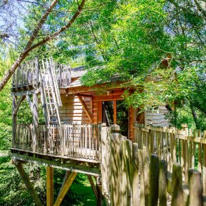 Cabane perchée dans les arbres, entourée de verdure luxuriante en Aquitaine.