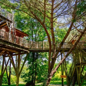 Cabane dans les arbres en Aquitaine, perchée au milieu dune forêt verdoyante.