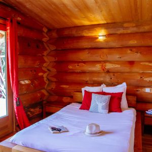 Chalet en bois chaleureux avec lit douillet et vue sur la nature en Aquitaine.