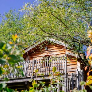 Cabane perchée en Aquitaine, entourée de verdure et sous un ciel bleu.