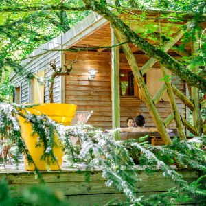 Cabane perchée en Aquitaine, entourée de verdure, avec terrasse en bois accueillante.