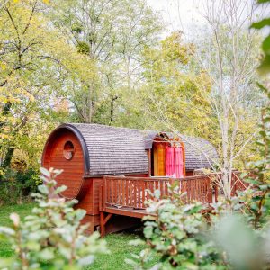 Hébergement insolite en Aquitaine : un chalet en bois rond entouré de verdure.