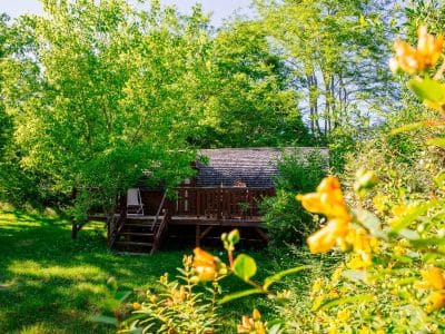 Cabane en bois dans la nature, entourée de verdure et de fleurs jaunes.