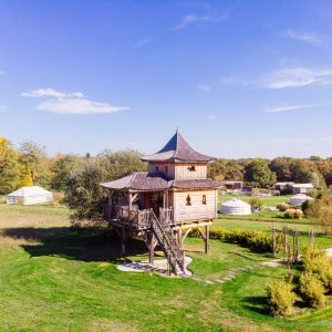 Cabane en bois perchée, entourée de verdure et dun ciel bleu éclatant.