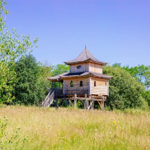 Cabane perchée en bois, entourée de verdure, offrant une vue panoramique.