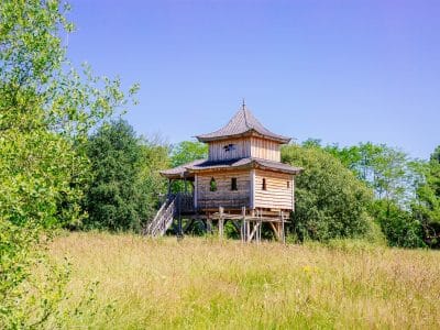 Cabane perchée en bois, entourée de verdure, offrant une vue panoramique.