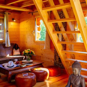 Cabane en bois avec mezzanine, décor zen et lumière naturelle. Parfait pour un séjour relaxant.