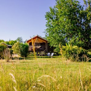 Cabane en bois au milieu dun jardin verdoyant, avec un hamac suspendu.