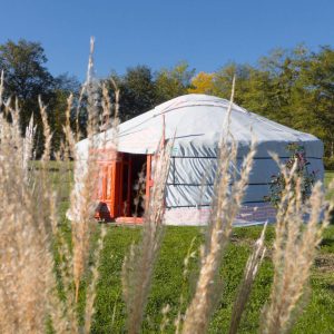 Yourte charmante en Aquitaine, entourée de verdure et de fleurs.