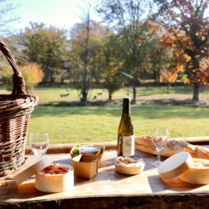 Hébergement insolite en Auvergne-Rhône-Alpes avec vue sur la nature et un pique-nique gourmand.