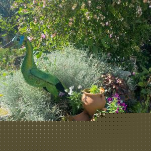 Hébergement insolite en Basse-Normandie, avec un jardin fleuri et une décoration colorée.