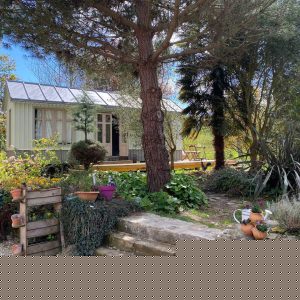 Cabane en bois entourée de verdure, avec une terrasse ensoleillée et des fleurs colorées.