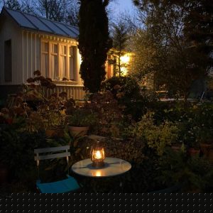 Hébergement insolite en Basse-Normandie, cabane lumineuse entourée de verdure.