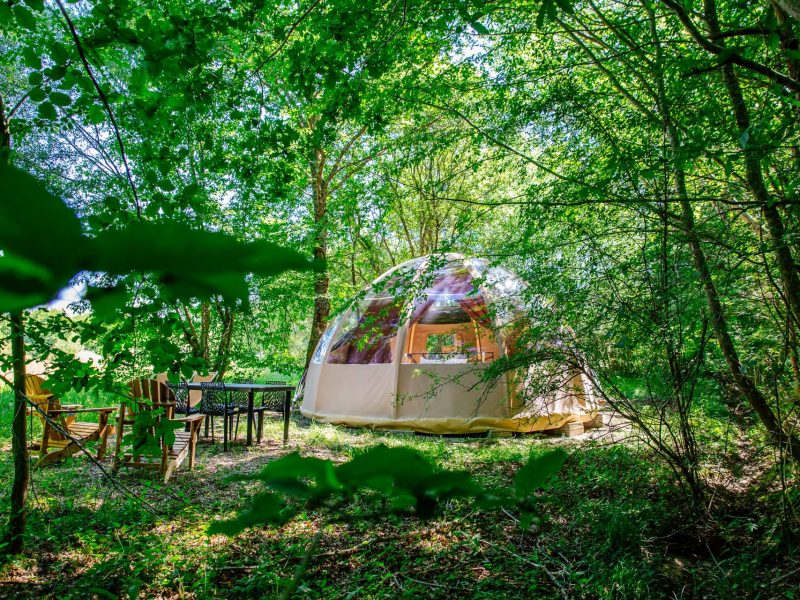 Dôme transparent en pleine nature, entouré darbres, avec mobilier de jardin.