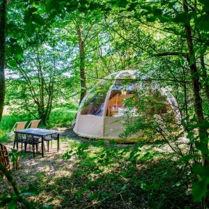 Dôme transparent en pleine nature, entouré darbres, avec mobilier de jardin.
