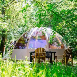 Dôme transparent en pleine nature, avec chaises en bois et verdure environnante.