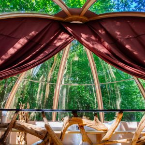Hébergement insolite en Aquitaine : bulle transparente avec vue sur la nature verdoyante.