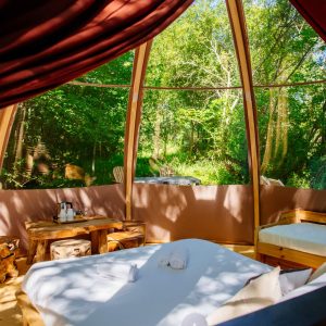 Hébergement insolite en Aquitaine : cabane en bois avec vue sur la nature verdoyante.