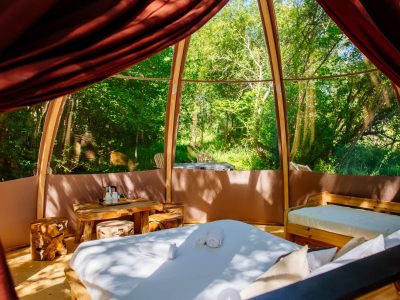 Hébergement insolite en Aquitaine : cabane en bois avec vue sur la nature verdoyante.